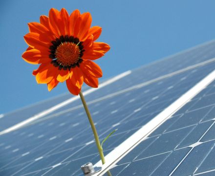 Panneaux solaires écologiques